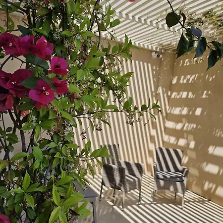 Apartman Harmony Coast, Palase