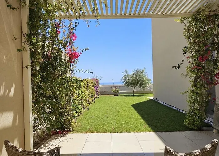 Harmony Coast, Palase