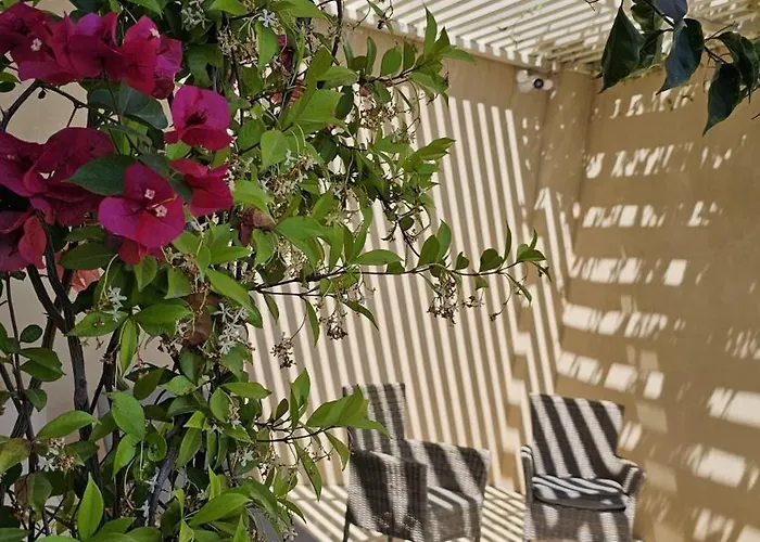 Apartment Harmony Coast, Palase